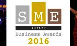 business awards finalist sme surrey business awards apprentice of the year business of the year private investigator